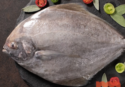 Black Pomfret 5