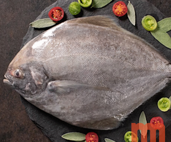 Black Pomfret 5