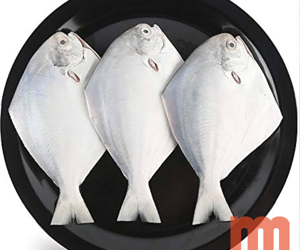 White Pomfret 3