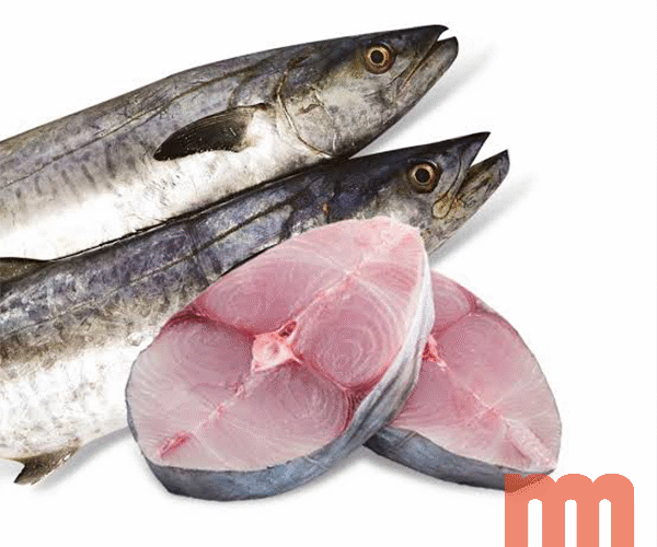 King Fish