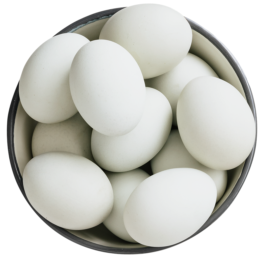 white eggs