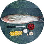 imgi 1 Fresh Water Fish 1