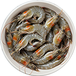shrimp mama miya